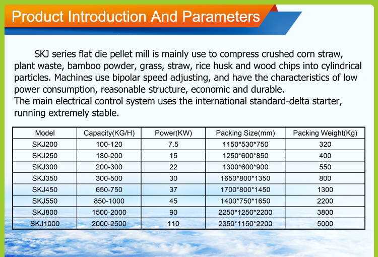 Flat Die Pellet Mill-Big Gear Transmission (3)